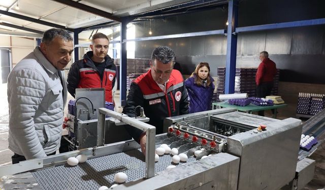 Yumurta tavukçuluğuna devlet desteği: Kapasitesini hibe ile artırdı