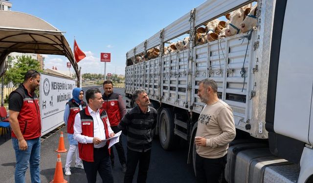 Kurbanlık taşıyanlar dikkat: Nevşehir’de denetimler sıklaştı