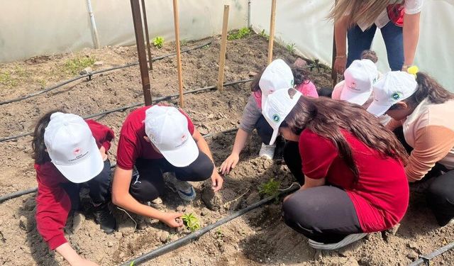Nevşehir’de fide dikim heyecanı: Öğrenciler serada buluştu
