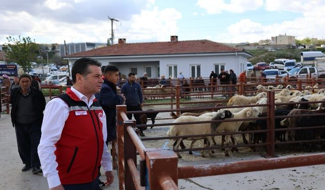 Nevşehir Hayvan Pazarı’nda bayram mesaisi: Kurbanlıklar denetlendi