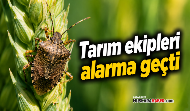 Nevşehir’de süne alarmı: 175 yerleşim yerinde inceleme başlatıldı