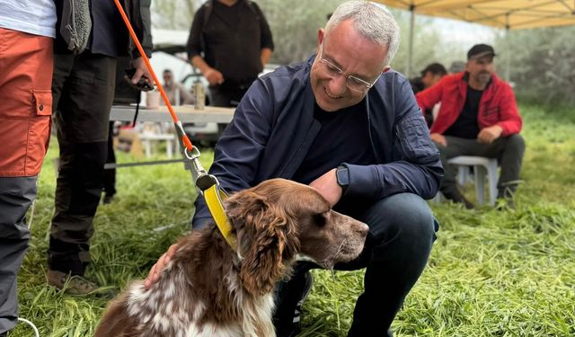 Açıksaray Vadisi’nde rekabet zirveye çıktı: Av köpeği ırk yarışması düzenlendi