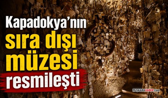 Dünyaca ünlü Saç Müzesi resmi müze statüsü kazandı