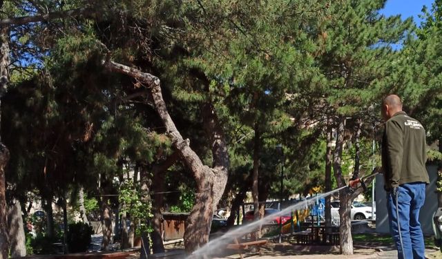 Ürgüp'te sivrisineklere karşı alarm! Belediye yaz boyunca sahada olacak