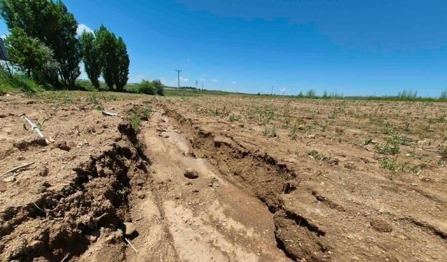 Ürgüp'te çiftçiler için çifte tehlike! Yollar bozuldu, risk arttı