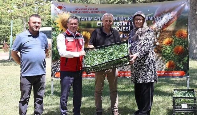 Nevşehir’de karnabahar ve brokoli fidesi dağıtımı yapıldı
