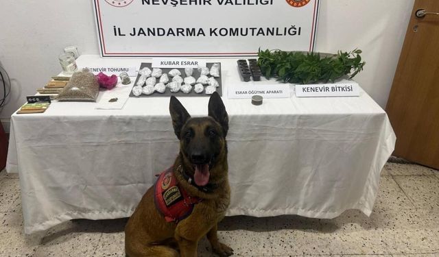 Jandarmadan zehir tacirlerine darbe! 4 şüpheli gözaltında