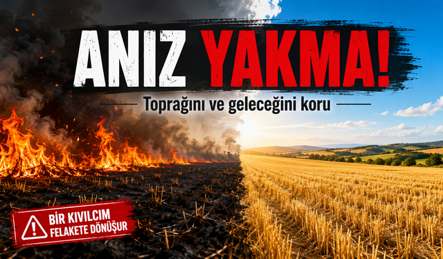 Nevşehir’de anız alarmı: Tarlada başlayan ateş felakete dönüşebilir