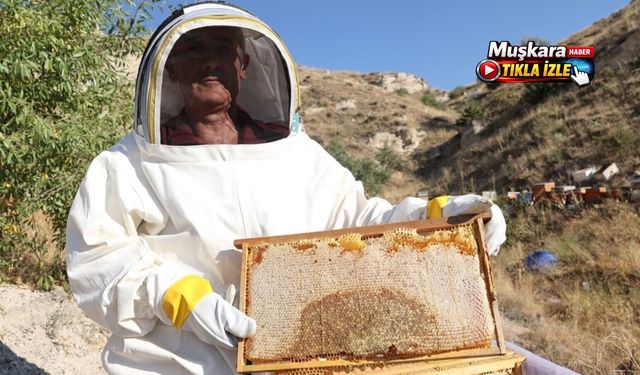 Kapadokya’nın 1460 çeşit çiçeği bu balda buluşuyor