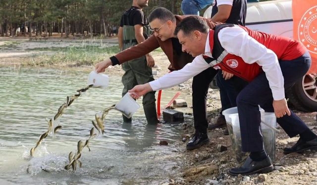 Nevşehir’in su kaynaklarına dev takviye: 725 bin sazan salındı