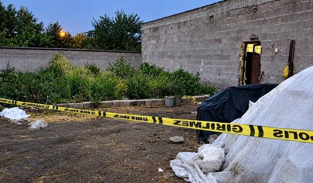 Nevşehir’de feci olay: Süt sağarken elektrik akımına kapılan kadın öldü