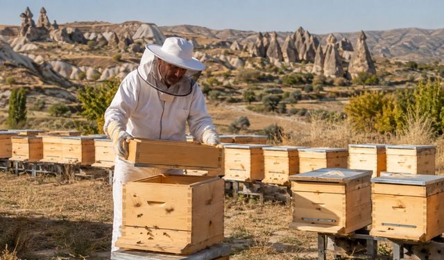 Nevşehir’de arıcılara yüzde 75 destekli kovan fırsatı