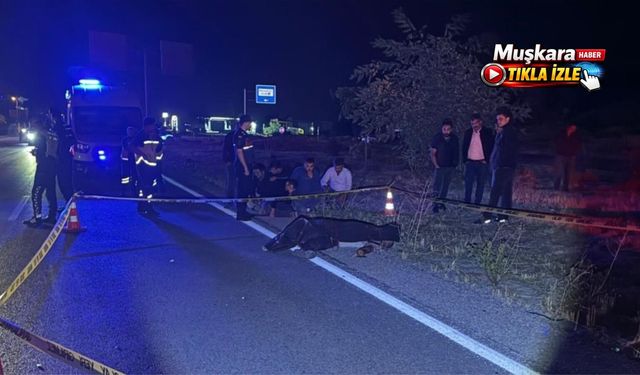 Yayanın hayatını kaybettiği kaza anı kameraya yansıdı