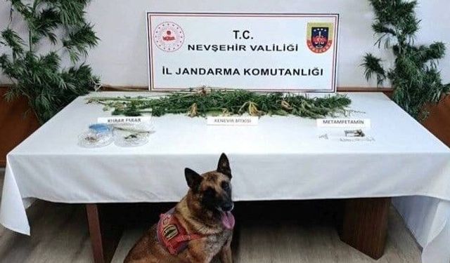 Nevşehir’de narkotik operasyonu: Kilolarca esrar ele geçirildi