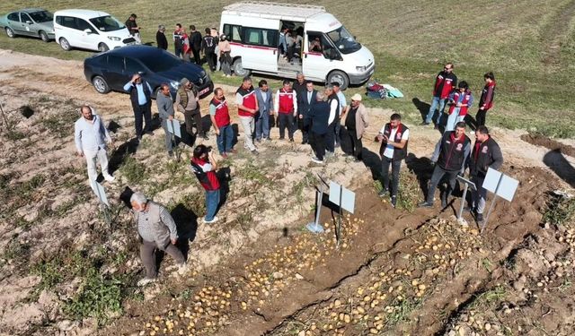 Nevşehir'de 8 farklı yerli ve millî patates çeşidi hasat edildi