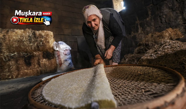 Nevşehir’in asırlık lezzeti: Kuru kaymak böyle hazırlanıyor