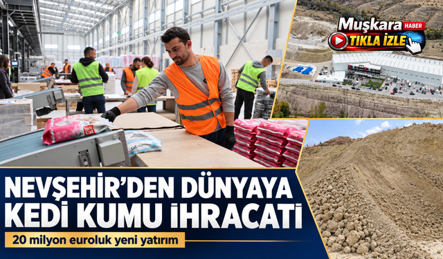 Kedi kumu fabrikası Türkiye'ye 50 milyon dolar döviz kazandırıyor
