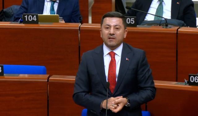 Rasim Arı Avrupa'da konuştu: “Türkiye’nin yerine karar verilemez”