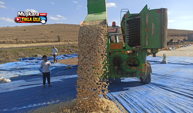 Nevşehir’de üretim patlaması! 160 bin dekardan 405 bin dekara