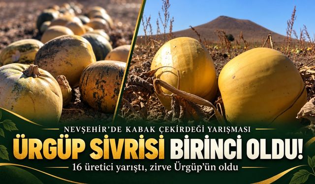 Nevşehir’de 16 üretici yarıştı: Birincilik Ürgüp Sivrisi’nin!