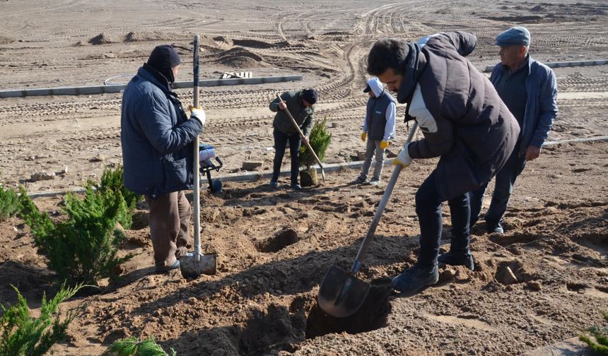 Gülşehir’de çam ağacı dikimi yapıldı