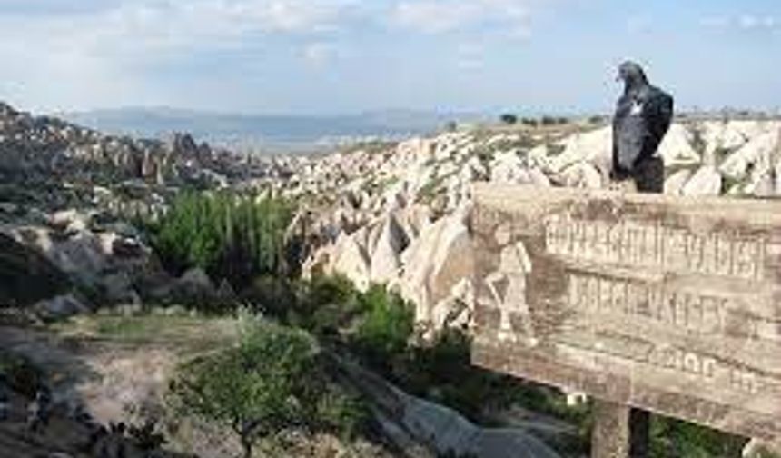 Kapadokya'nın en çok ilgi gören vadilerinden: Güvercinlik Vadisi