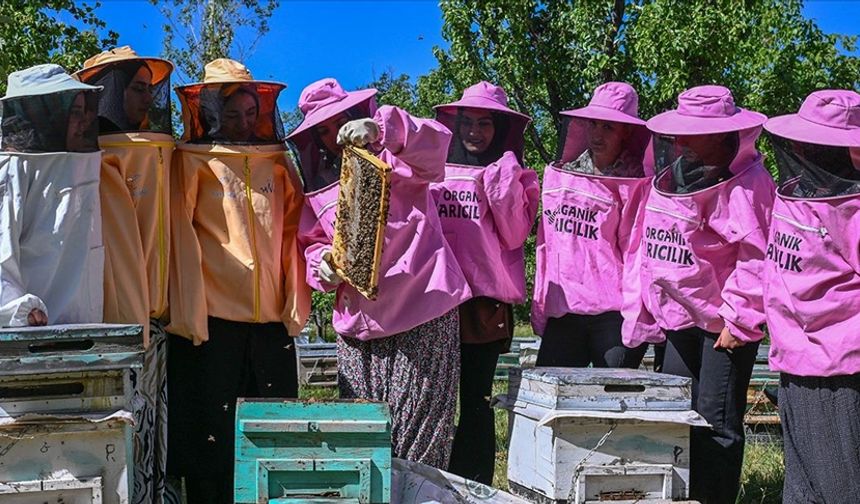 Pembe kıyafetli arıcılar, organik bal üretiminde söz sahibi olmak istiyor