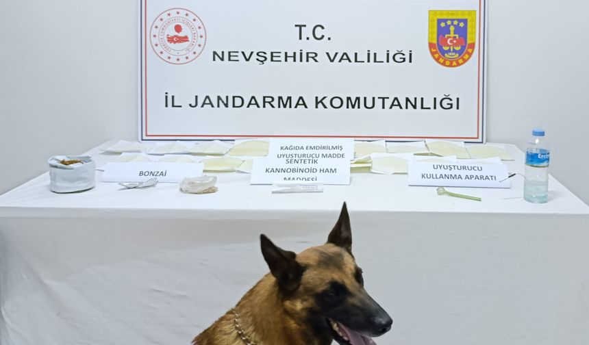 Gülşehir’de uyuşturucu taciri zanlı tutuklandı