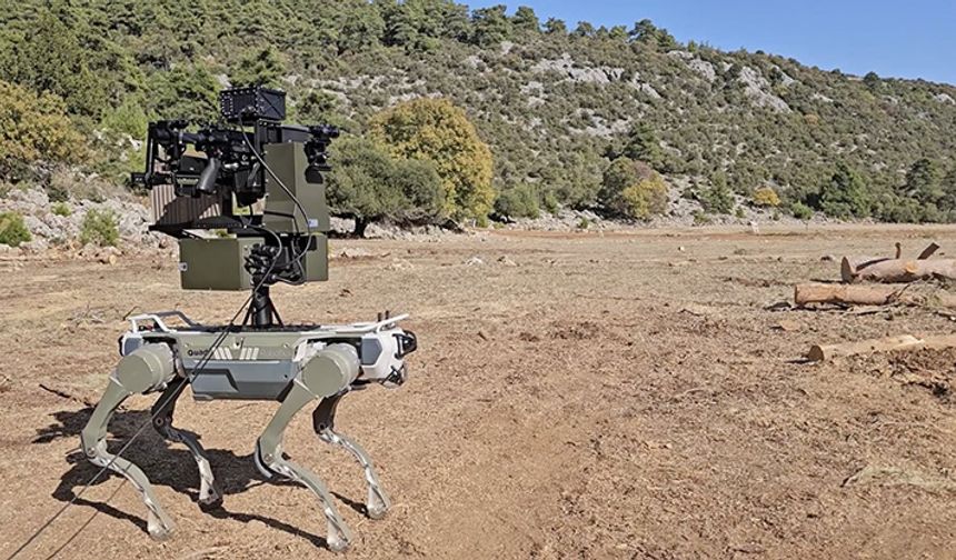 Türk savunma sanayisi silahlı robot köpekleri göreve hazırlıyor