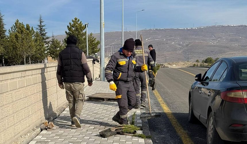 Ürgüp’ün kaldırımlarını çam ve lavanta süsleyecek