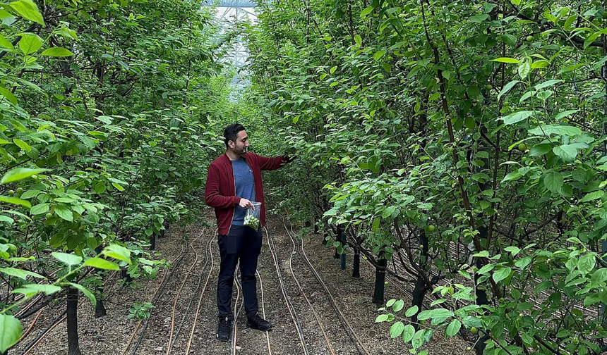 Büyükelçi Joep Wijnands’tan Milletvekili Çalışkan’a ziyaret