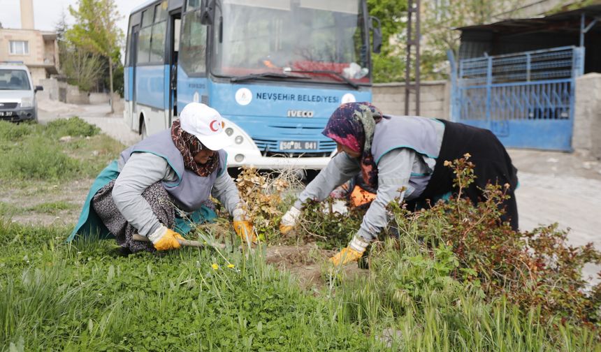 Sümer Mahallesi yaza hazırlanıyor