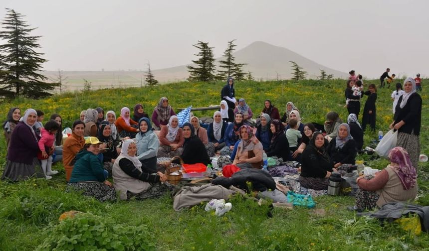 Kaymakam Bozan köylülerle piknikte buluştu