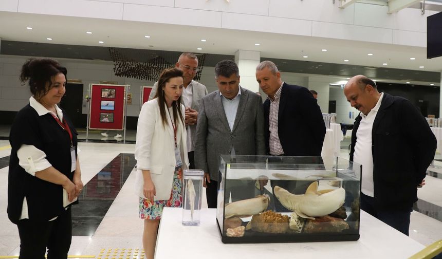 Su altı canlılarına ait örnekler büyük ilgi gördü