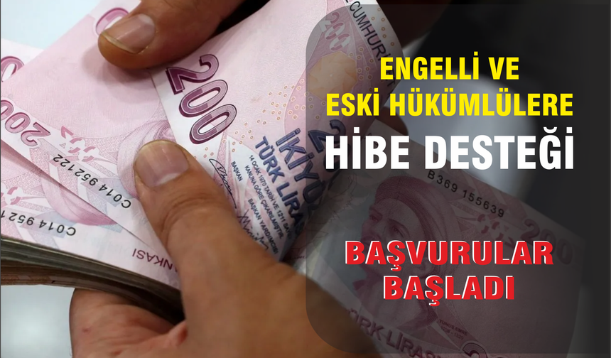 Engelli ve eski hükümlülere hibe desteği başvuruları başladı
