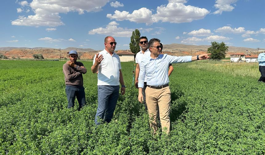 Kaymakam Bilici tarım arazilerini inceledi