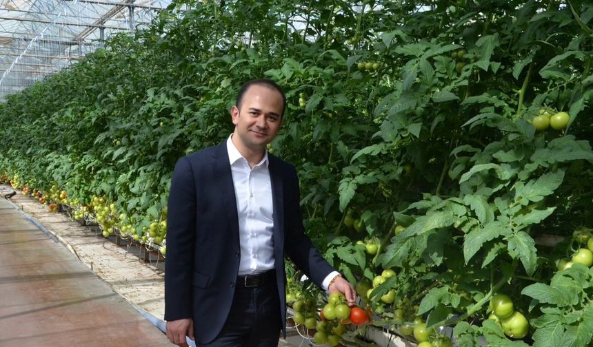 Kaymakam Açar seracılık faaliyetlerini inceledi