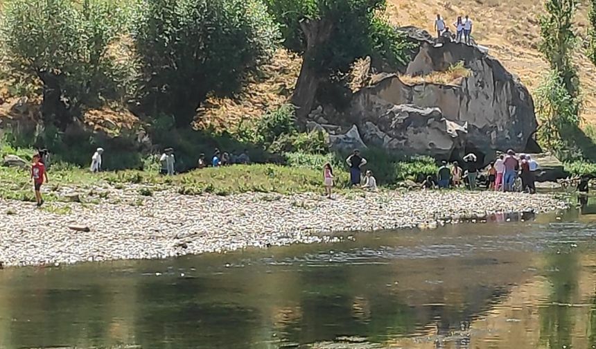 Kuzenini kurtarmak isterken kendi boğuldu