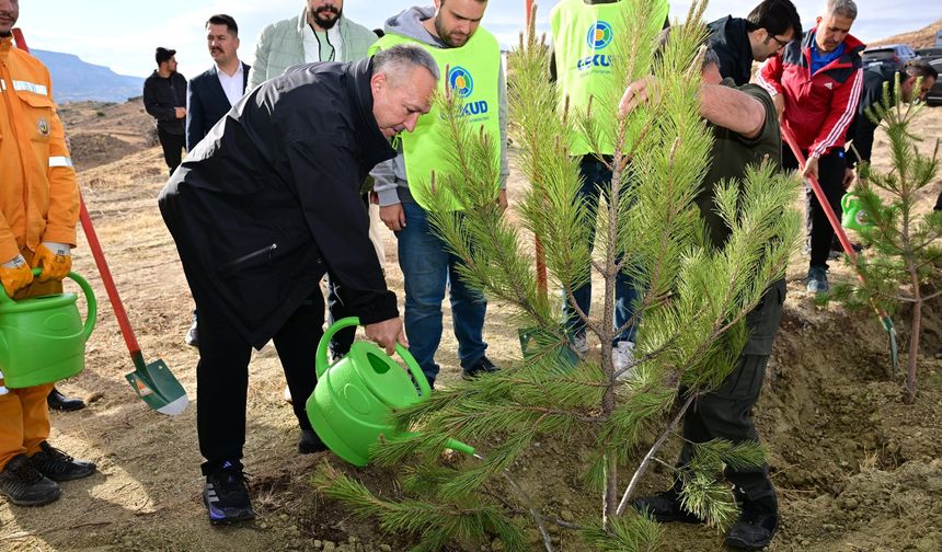 Mustafapaşa’da 3 bin fidan toprakla buluştu