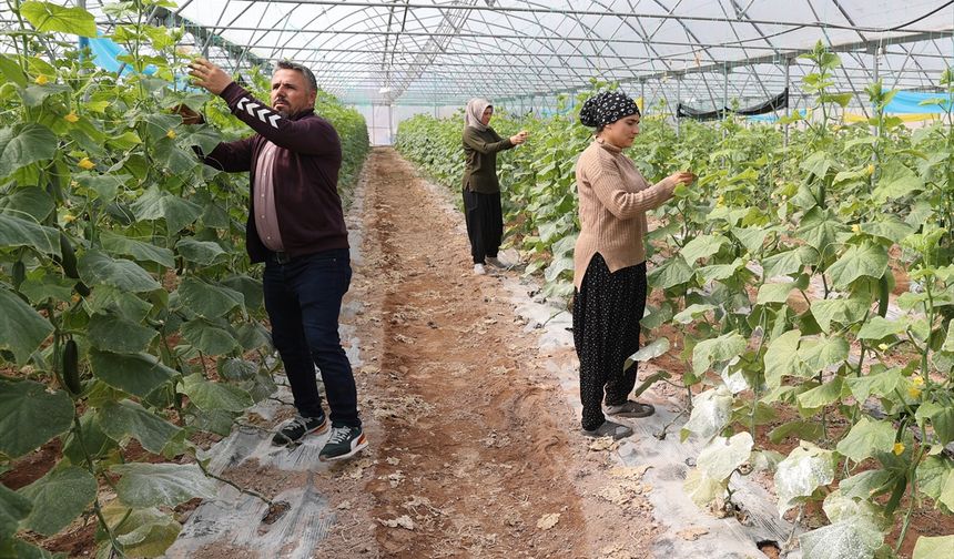 Başarılı kadın girişimci istihdam sağlıyor (video)