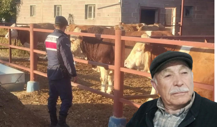 Boğa darbeleriyle yaralanan yaşlı adam hayatını kaybetti