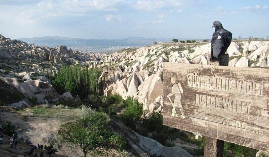 Kapadokya’nın gözdesi Güvercinlik Vadisi yenilendi