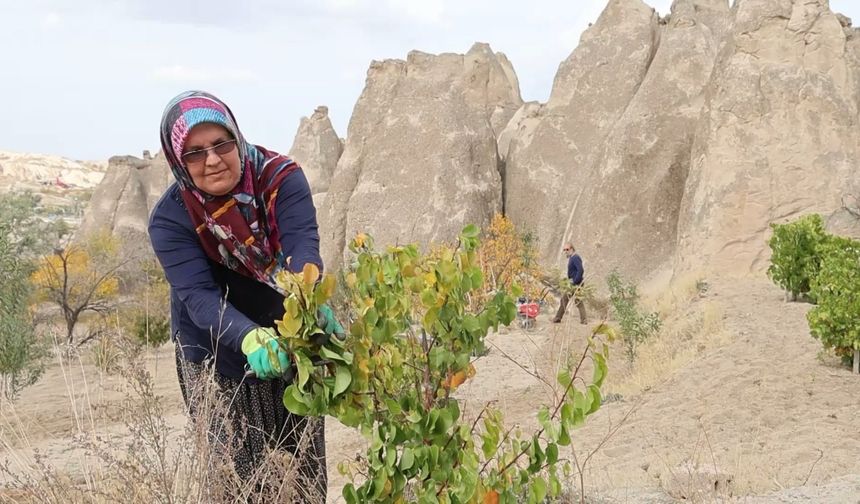 Gönüllü çiftten peribacalarına görsel dokunuş (video)