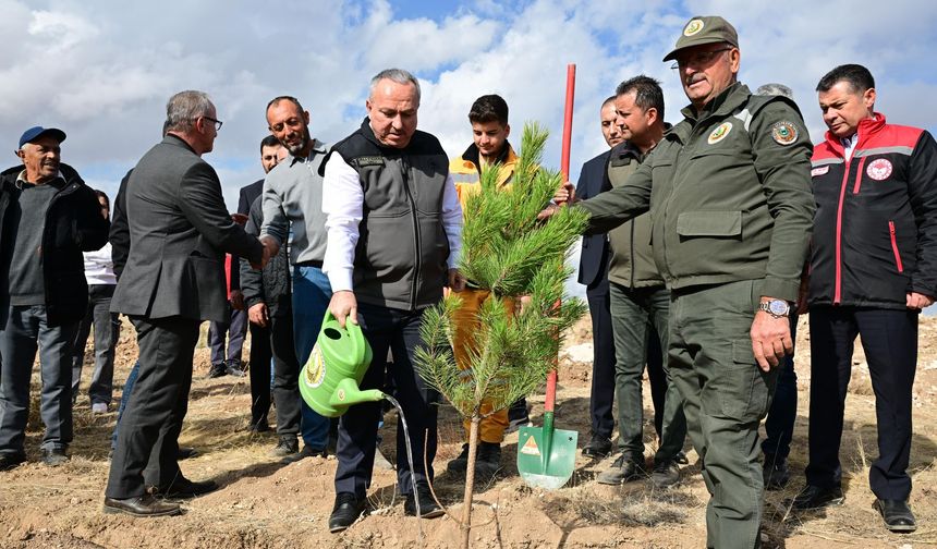 Kozaklı’da fidanlar toprakla buluştu