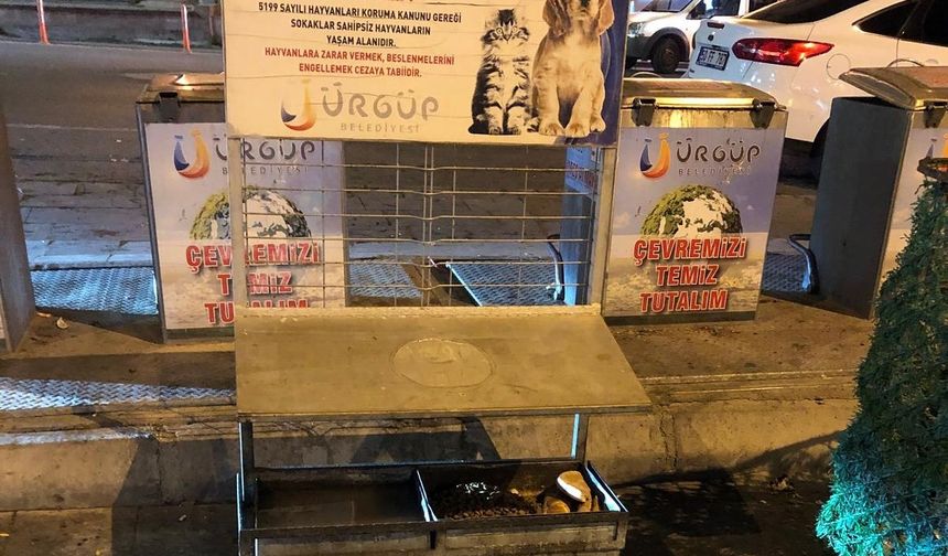 Ürgüp'te sokak hayvanları için mama uygulaması