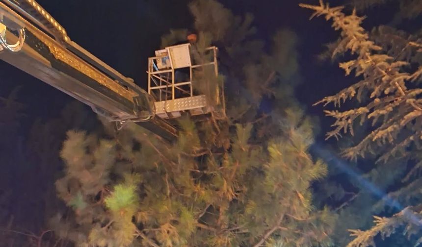 Derinkuyu’da mahsur kalan kedi kurtarıldı