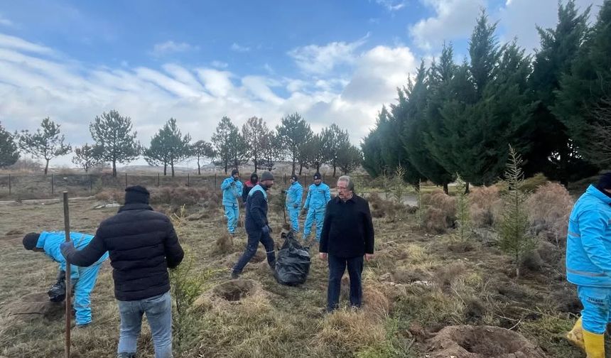 Avanos’a bir günde 2 bin ağaç dikildi