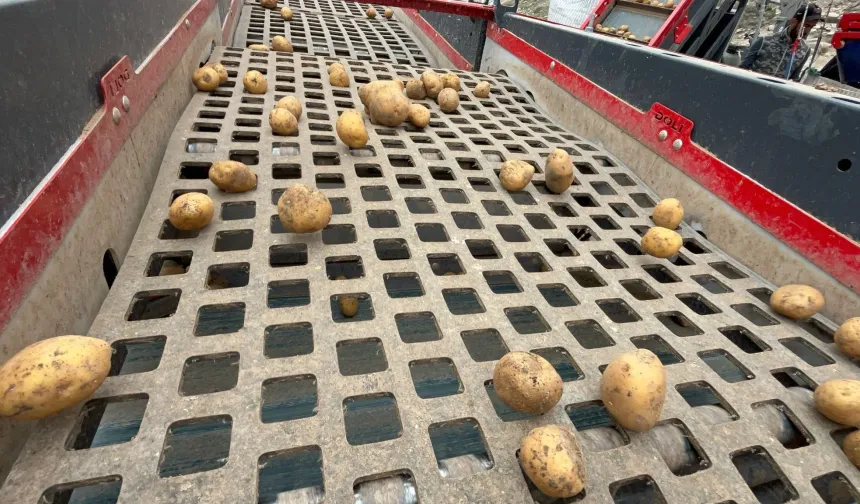 250 bin ton patates Nevşehir’de sertifikalandırılıyor