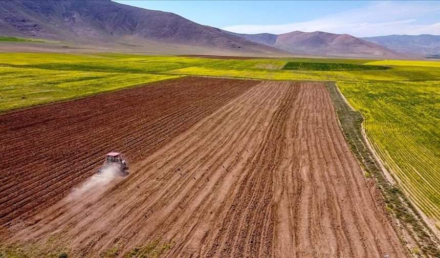 Tarım destekleri belli oldu: Nevşehir’de çiftçi ne kadar alacak?