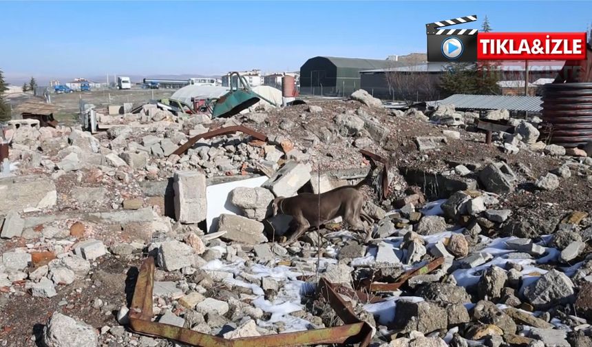 Nevşehir JAKEM'in sessiz kahramanı umut olmak için eğitiliyor